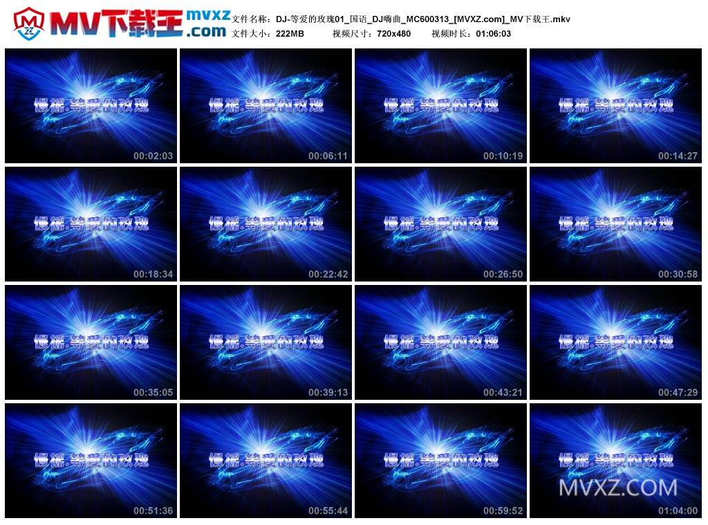 DJ-等爱的玫瑰01_国语_DJ嗨曲_MC600313